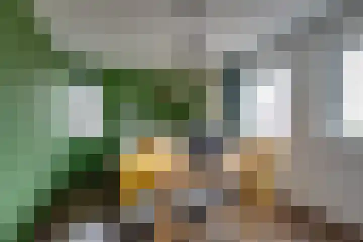 Vriesdonk 10 Biezenmortel thumbnail 31