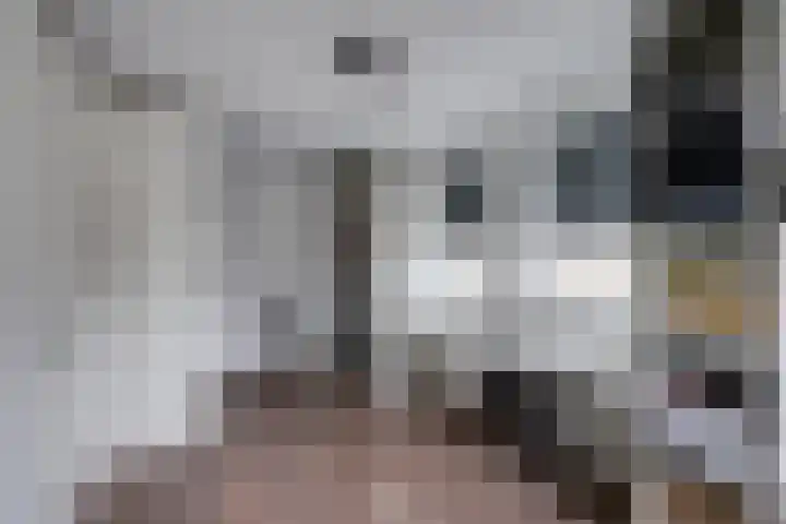 Vriesdonk 10 Biezenmortel thumbnail 33