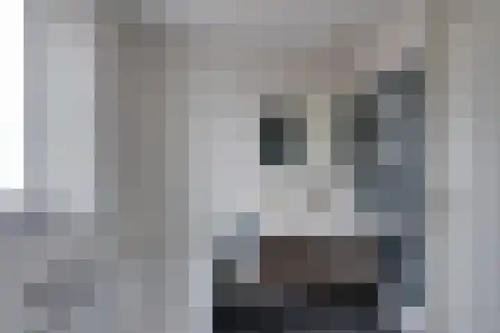 Vriesdonk 10 Biezenmortel thumbnail 36