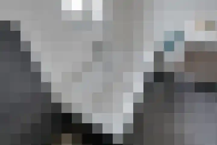 Vriesdonk 10 Biezenmortel thumbnail 37
