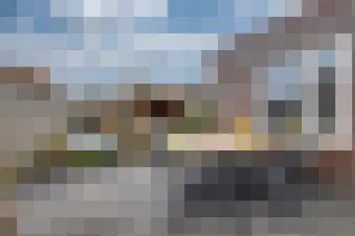 Vriesdonk 10 Biezenmortel thumbnail 43