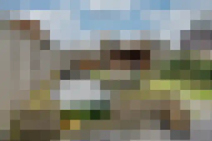Vriesdonk 10 Biezenmortel thumbnail 44