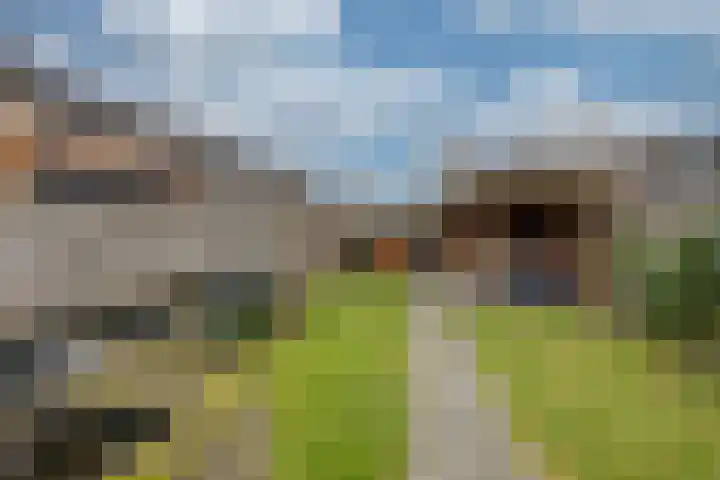 Vriesdonk 10 Biezenmortel thumbnail 45