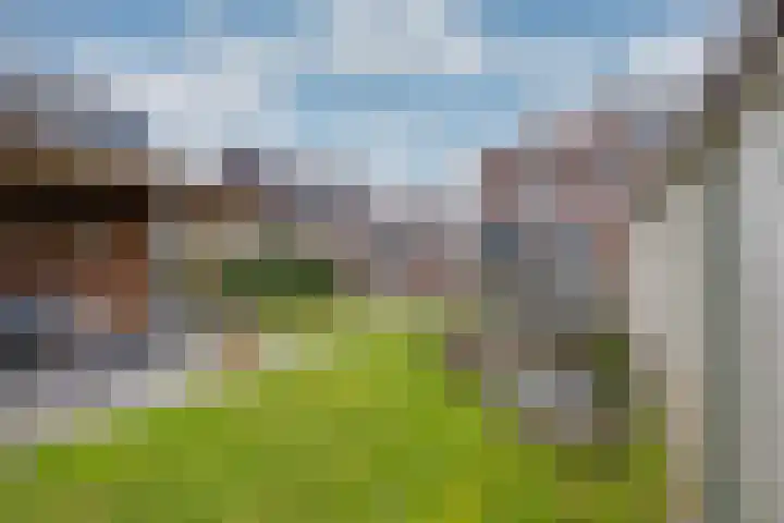 Vriesdonk 10 Biezenmortel thumbnail 5