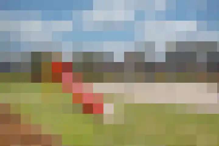 Vriesdonk 10 Biezenmortel thumbnail 55