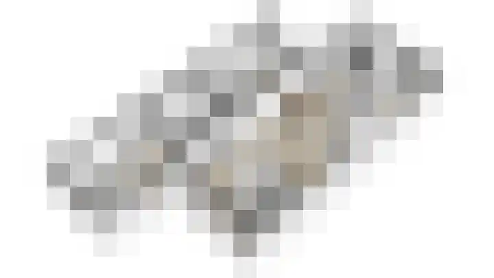 Vriesdonk 10 Biezenmortel thumbnail 60