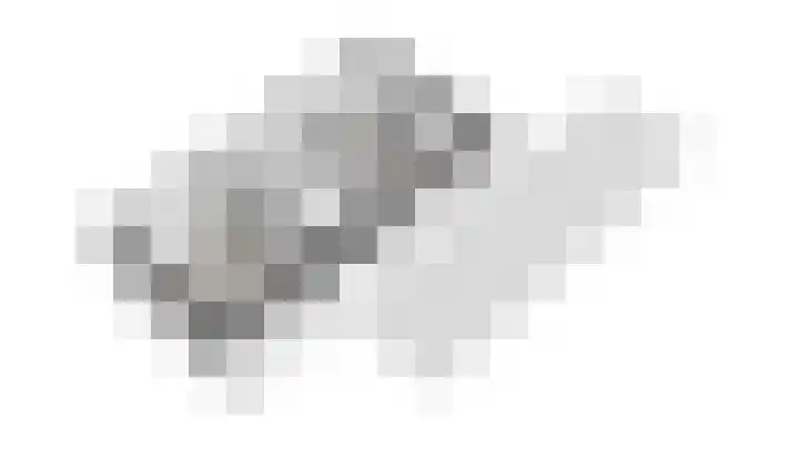 Vriesdonk 10 Biezenmortel thumbnail 64