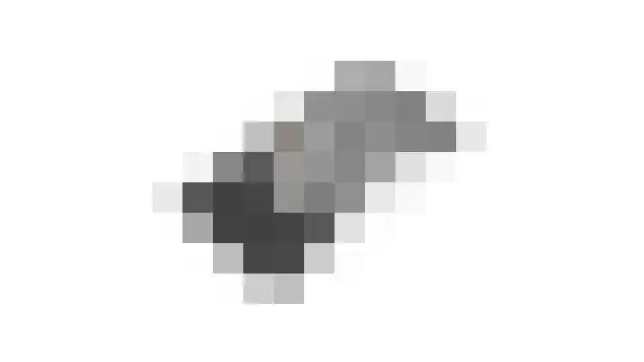 Vriesdonk 10 Biezenmortel thumbnail 66