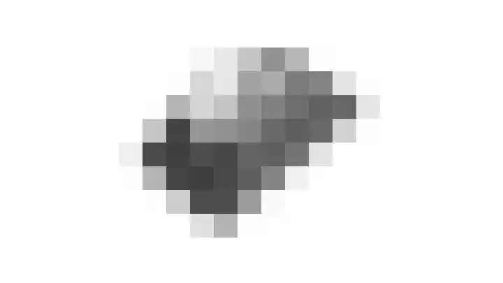 Vriesdonk 10 Biezenmortel thumbnail 67