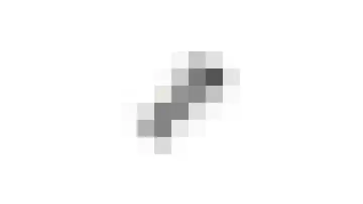 Vriesdonk 10 Biezenmortel thumbnail 70