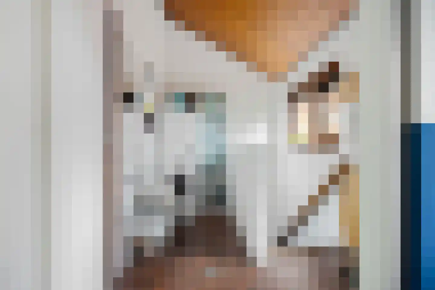 Vriesdonk 6 Oosterhout thumbnail 19