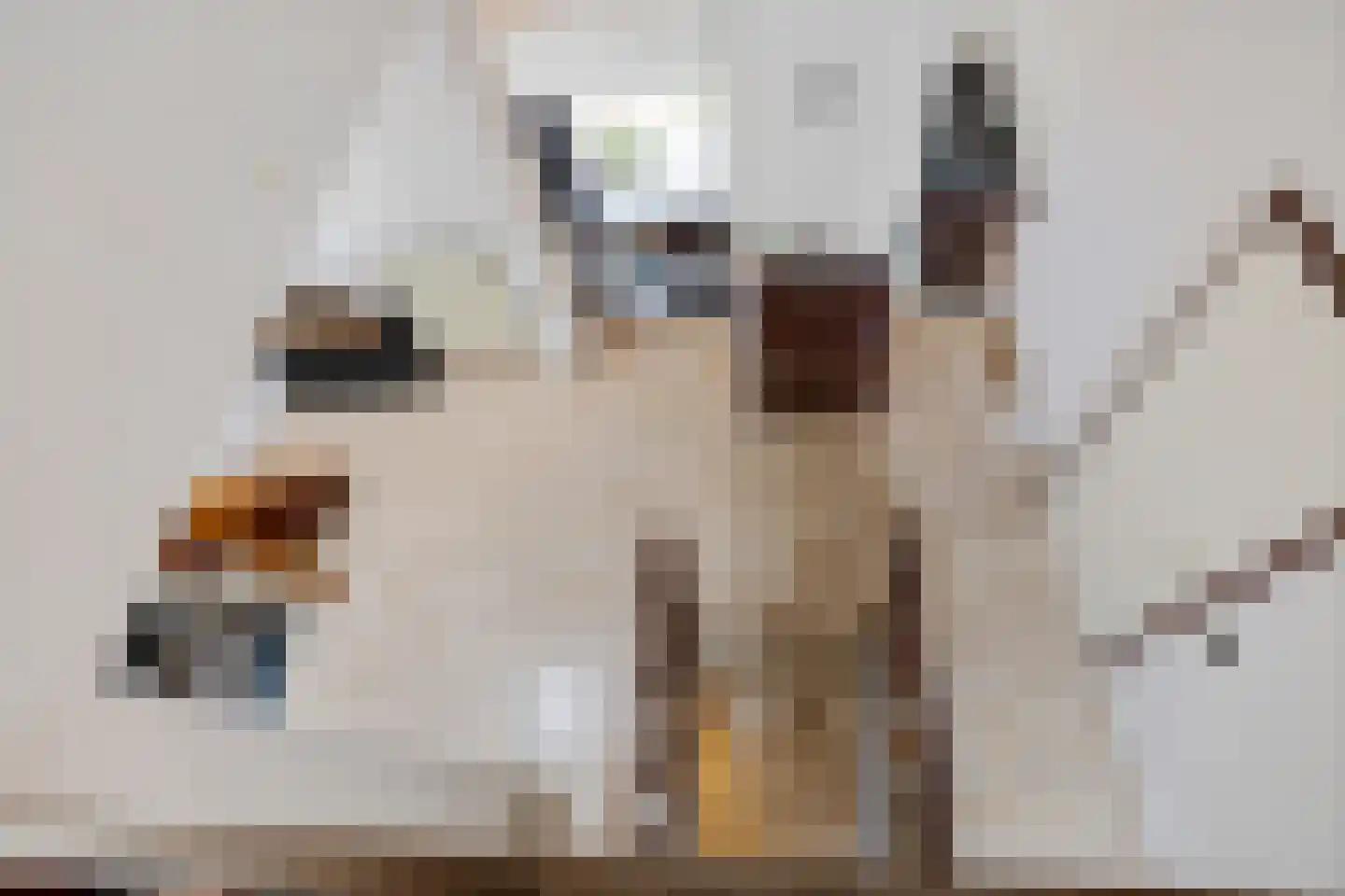 Vriesdonk 6 Oosterhout thumbnail 39