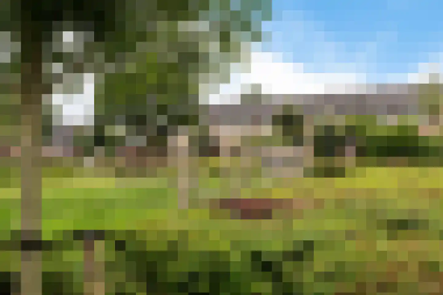 Vriesdonk 6 Oosterhout thumbnail 4