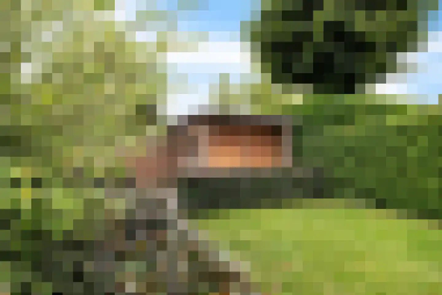 Vriesdonk 6 Oosterhout thumbnail 42