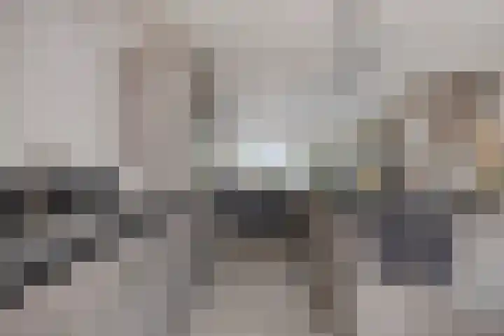 Vriesenenk 182 Elst thumbnail 16
