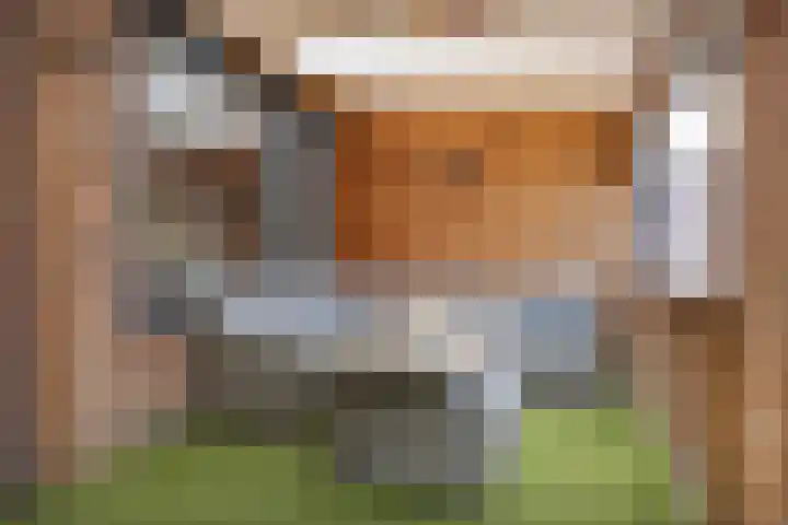 Vriesenenk 182 Elst thumbnail 18