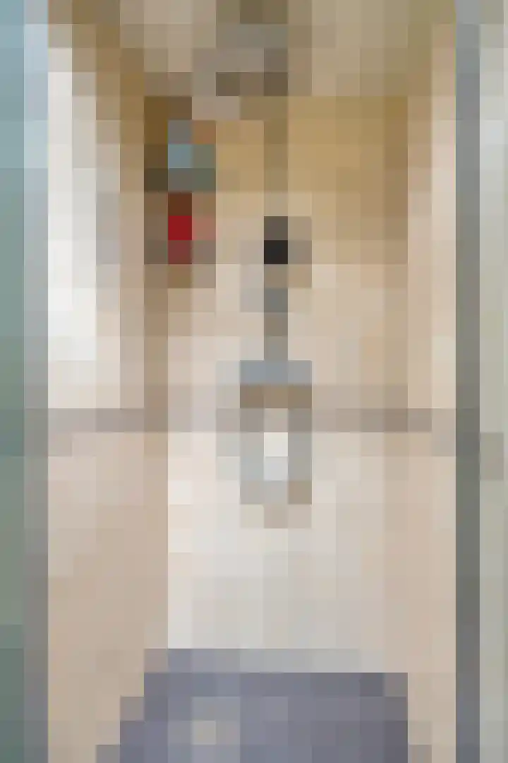 Vriesenenk 182 Elst thumbnail 27
