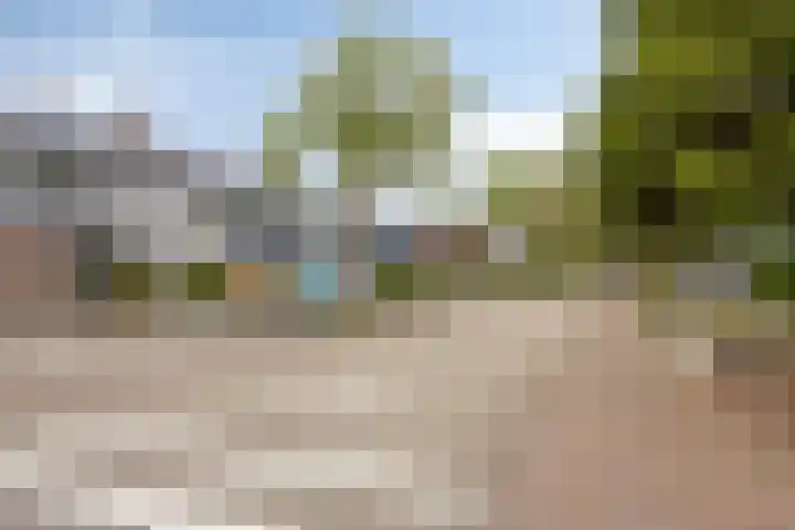 Vriesenenk 182 Elst thumbnail 37