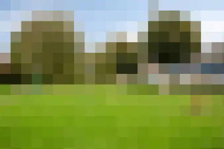 Vriesenenk 182 Elst thumbnail 38
