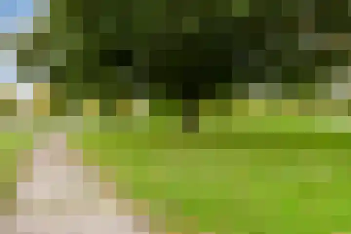 Vriesenenk 182 Elst thumbnail 39