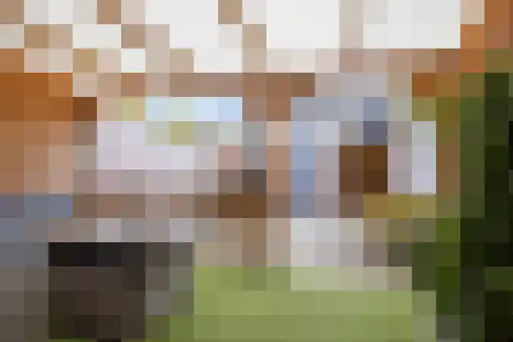 Vriesenenk 182 Elst thumbnail 4