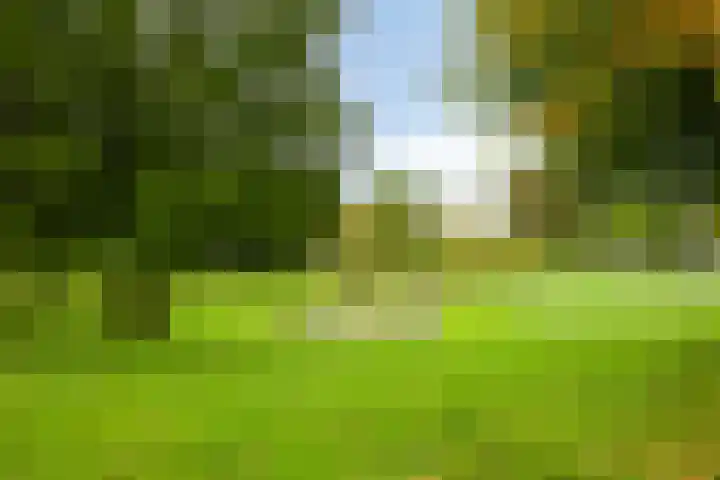Vriesenenk 182 Elst thumbnail 40