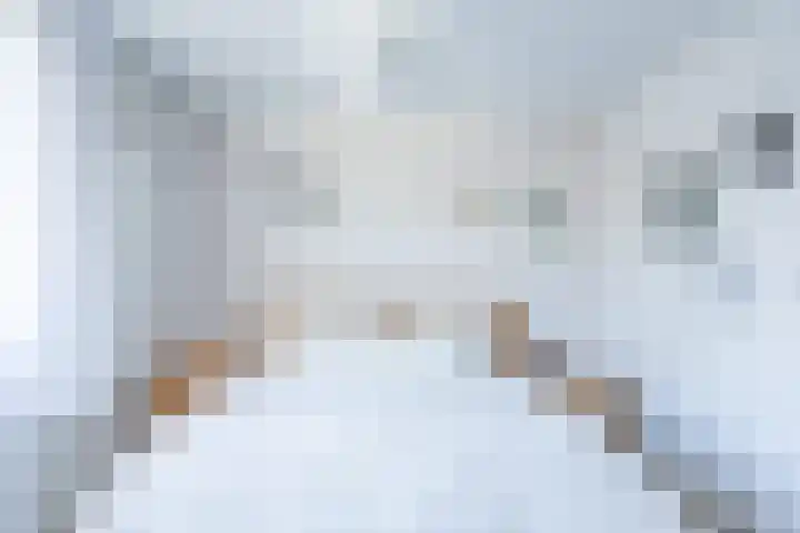 Vriesenenk 70 Elst thumbnail 16