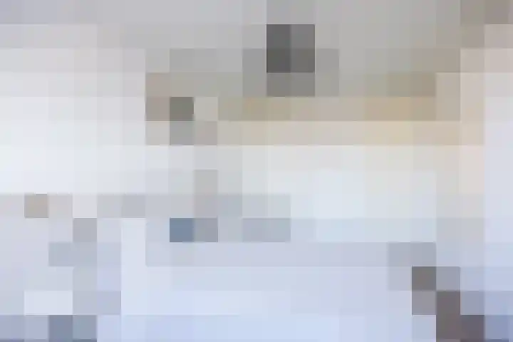 Vriesenenk 70 Elst thumbnail 21