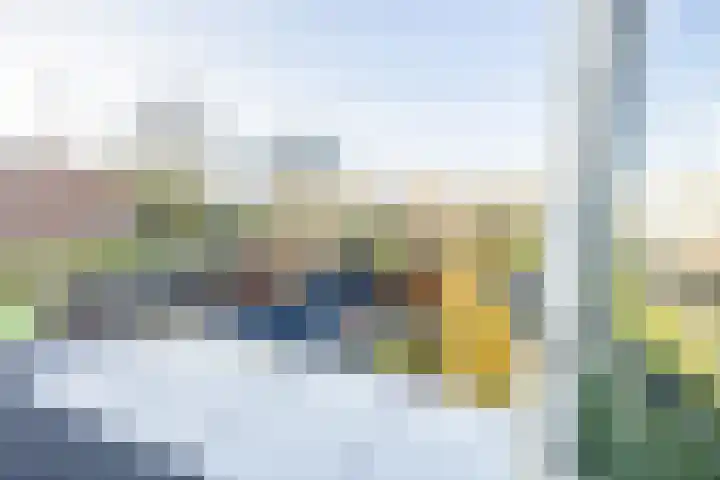 Vriesenenk 70 Elst thumbnail 22