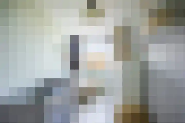 Vriesenenk 70 Elst thumbnail 23