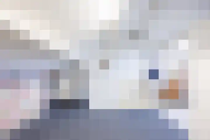 Vriesenenk 70 Elst thumbnail 28