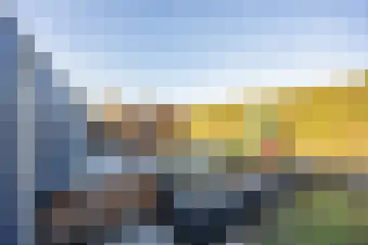 Vriesenenk 70 Elst thumbnail 33