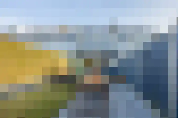 Vriesenenk 70 Elst thumbnail 34