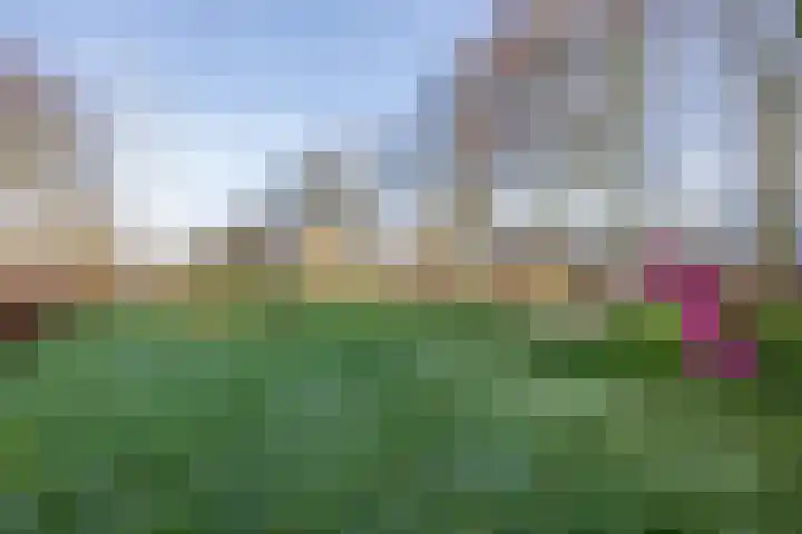 Vriesenenk 70 Elst thumbnail 36