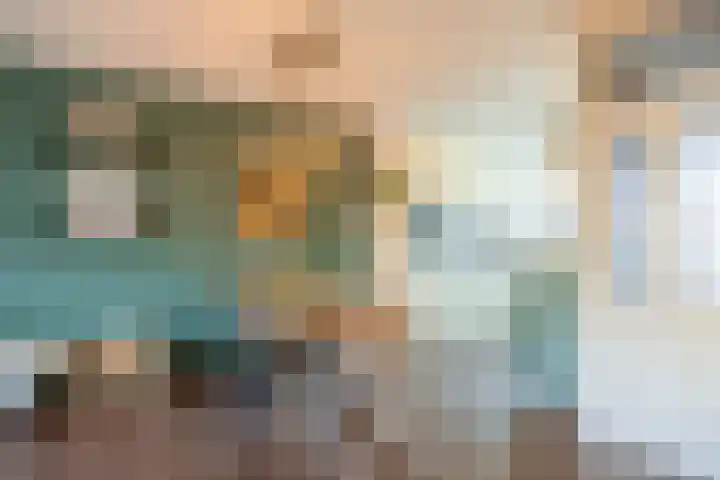 Vriesenenk 70 Elst thumbnail 9