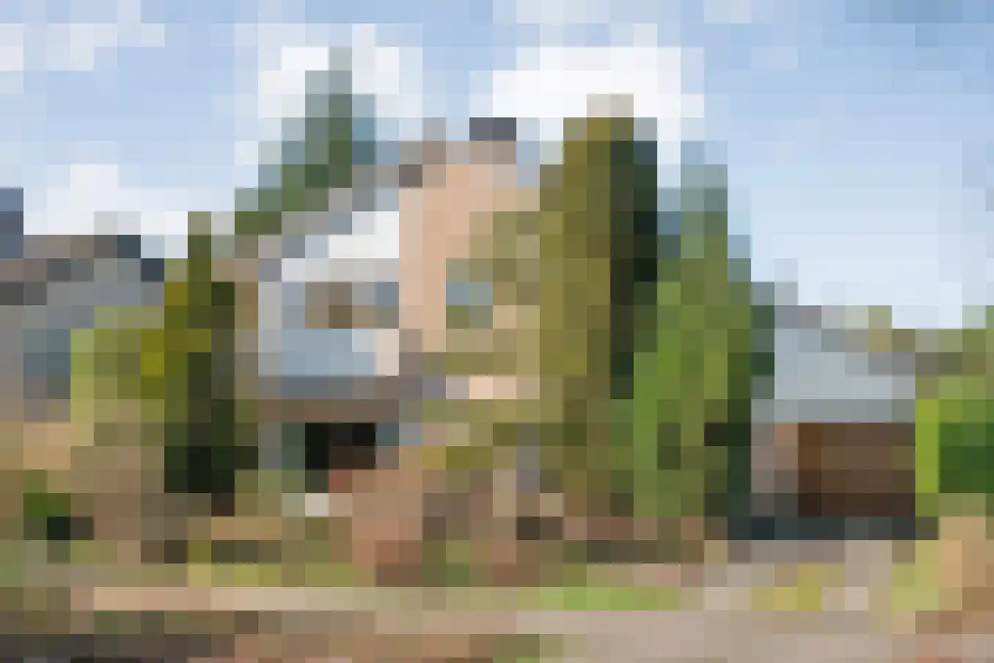 Vriesenhof 15 in Dalfsen