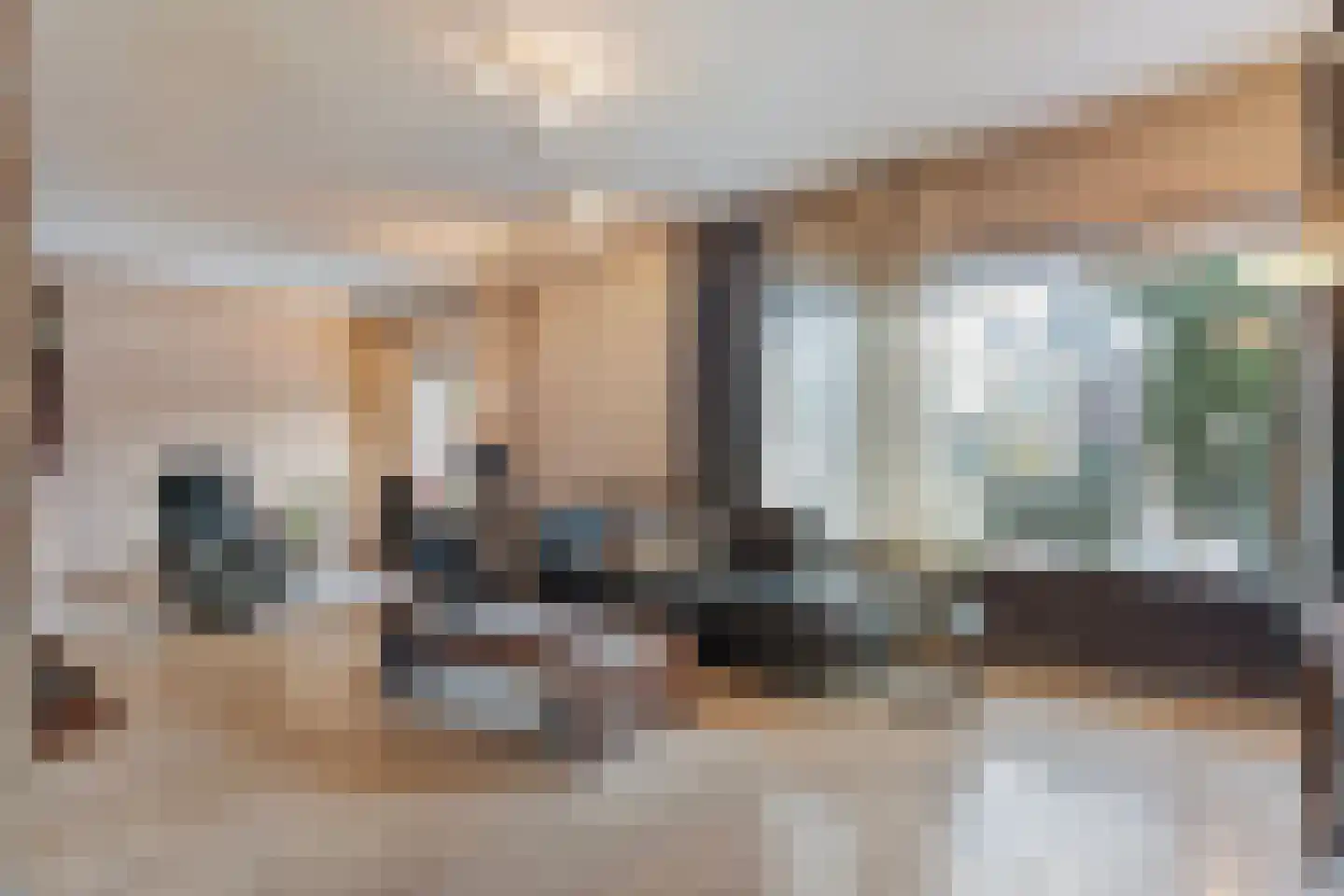 Vriesenhof 15 Dalfsen thumbnail 10