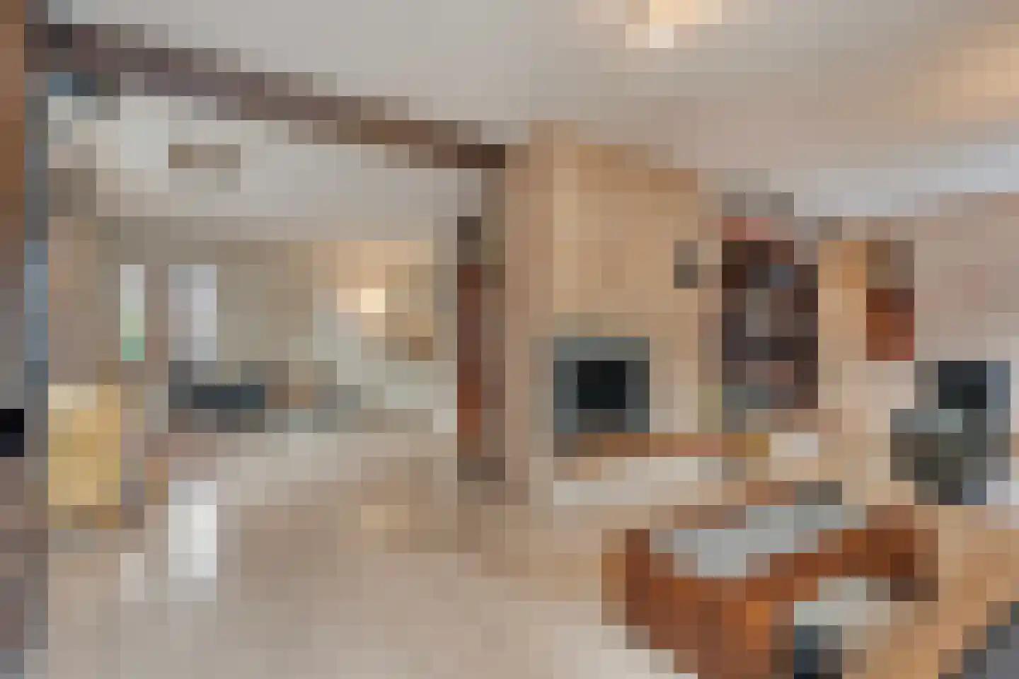 Vriesenhof 15 Dalfsen thumbnail 11