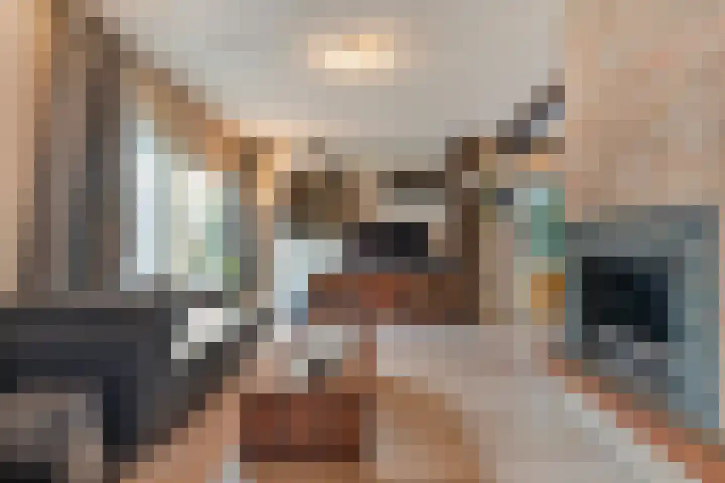 Vriesenhof 15 Dalfsen thumbnail 13