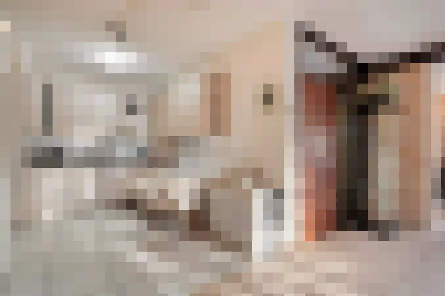 Vriesenhof 15 Dalfsen thumbnail 18