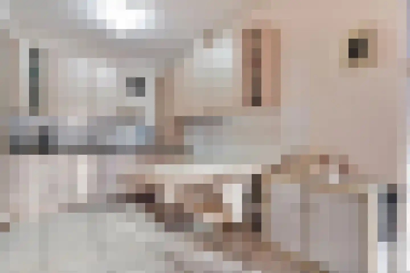 Vriesenhof 15 Dalfsen thumbnail 20