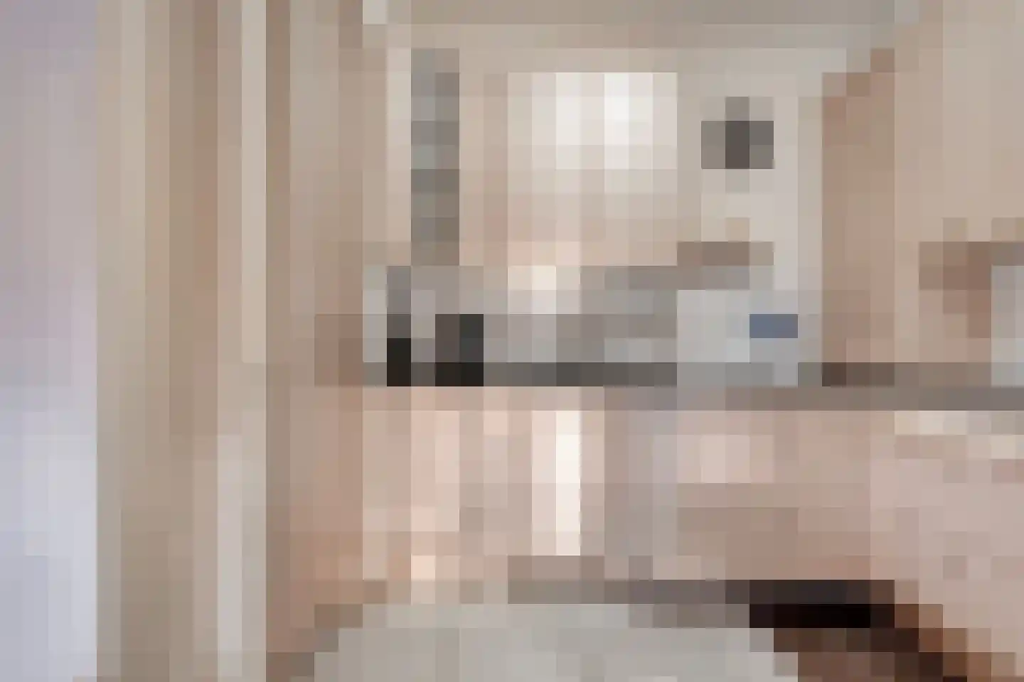 Vriesenhof 15 Dalfsen thumbnail 21