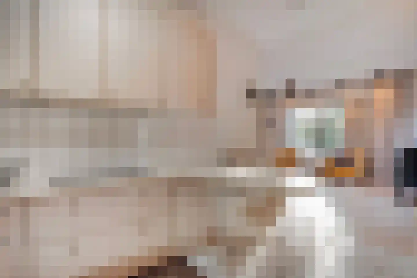 Vriesenhof 15 Dalfsen thumbnail 22