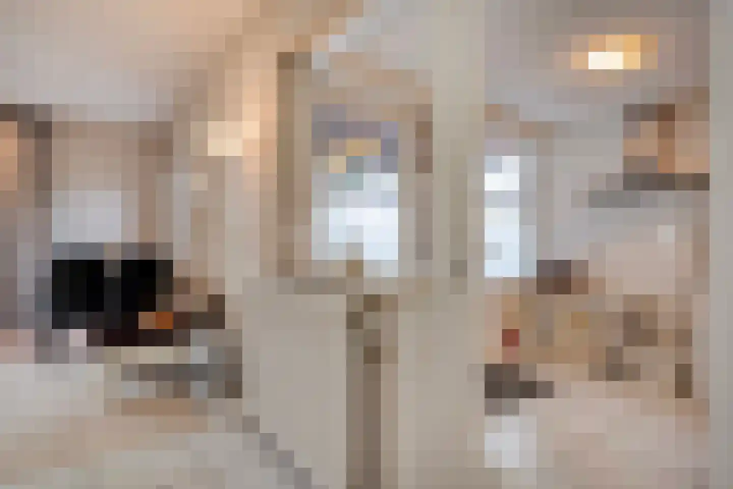 Vriesenhof 15 Dalfsen thumbnail 23