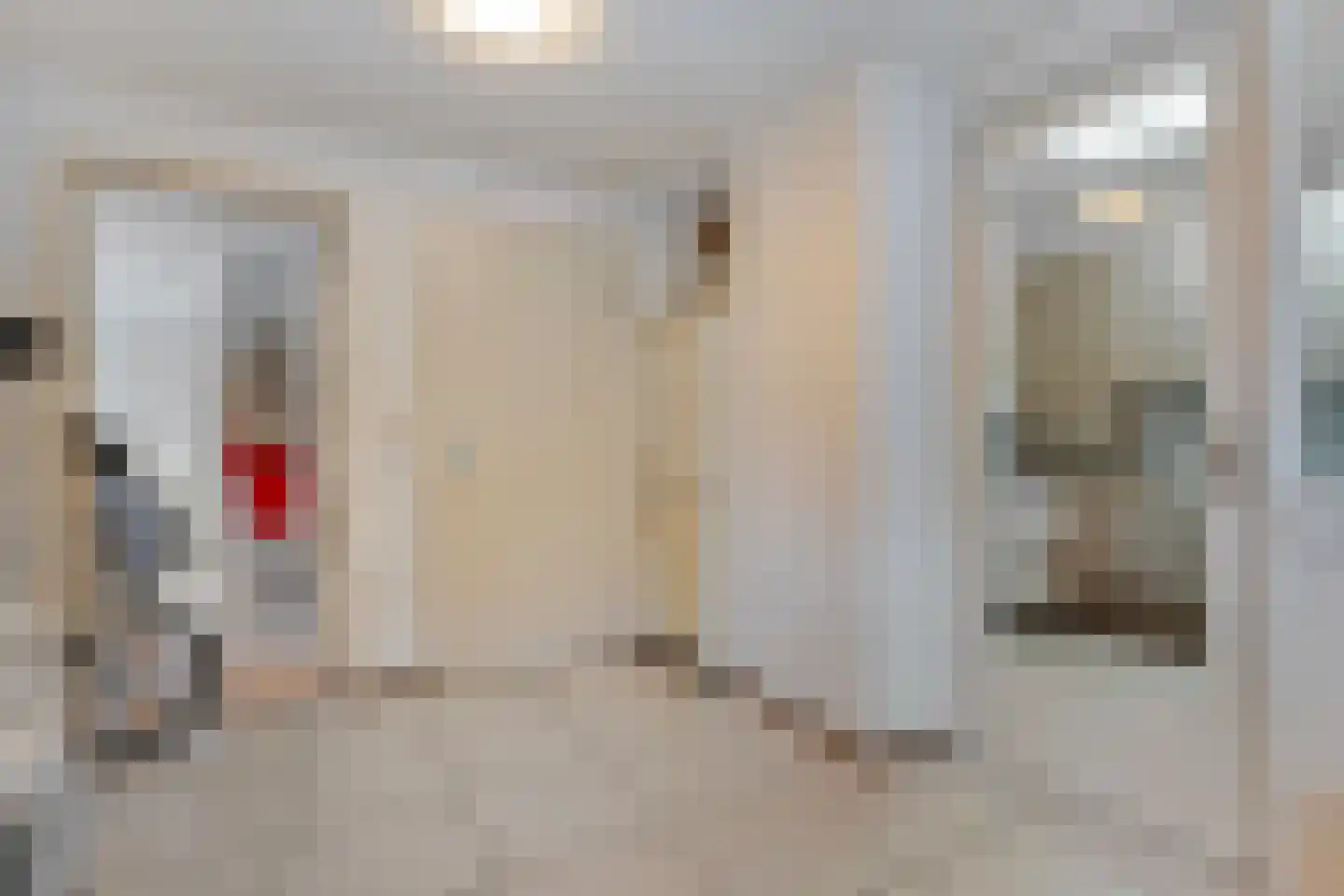 Vriesenhof 15 Dalfsen thumbnail 25