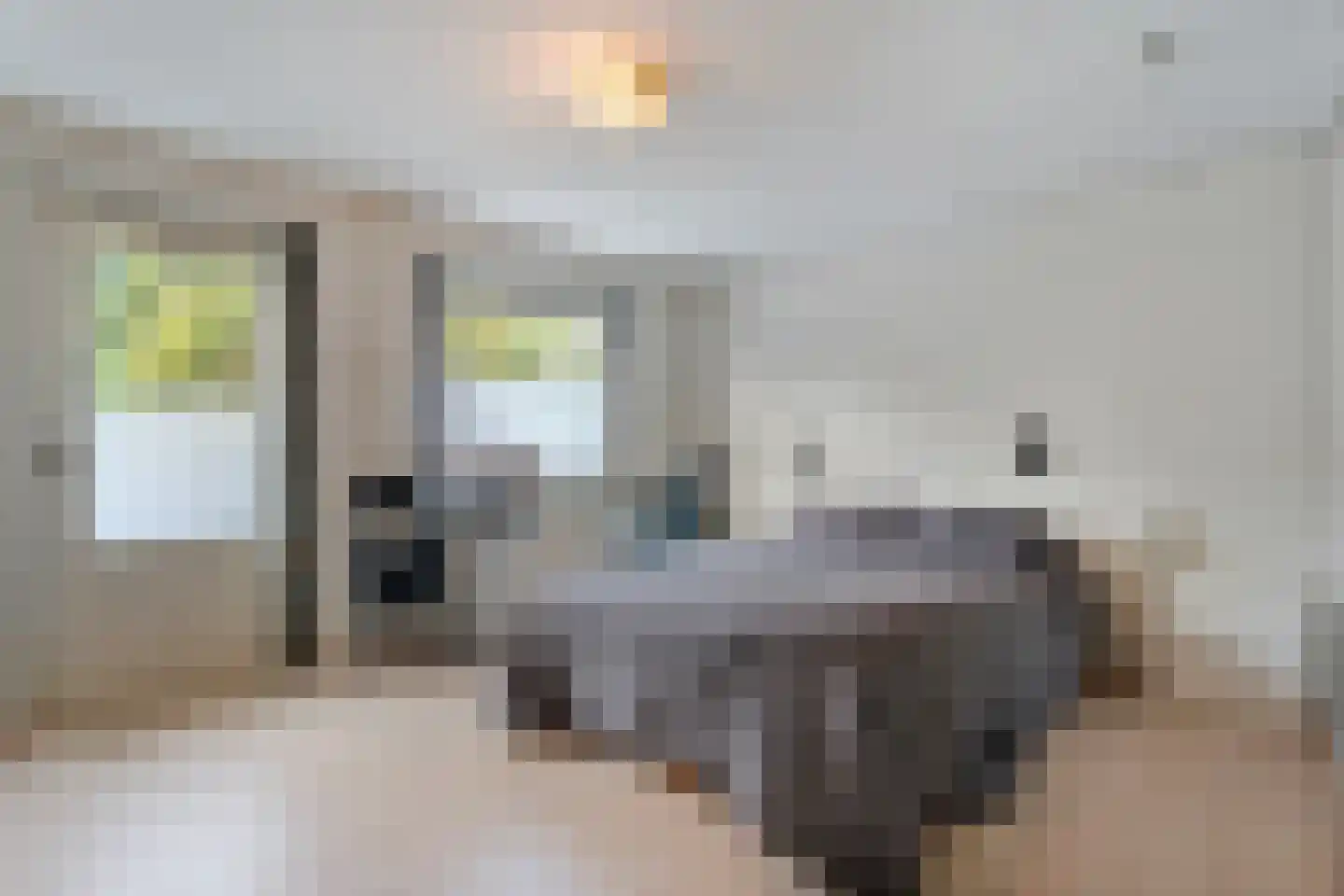 Vriesenhof 15 Dalfsen thumbnail 26