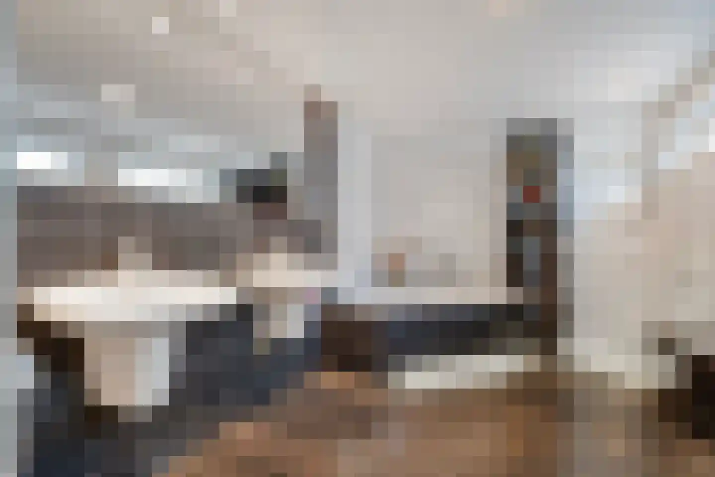Vriesenhof 15 Dalfsen thumbnail 28