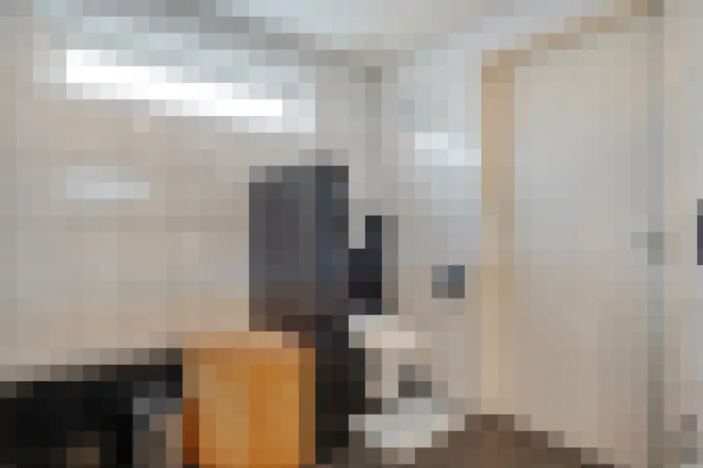 Vriesenhof 15 Dalfsen thumbnail 31