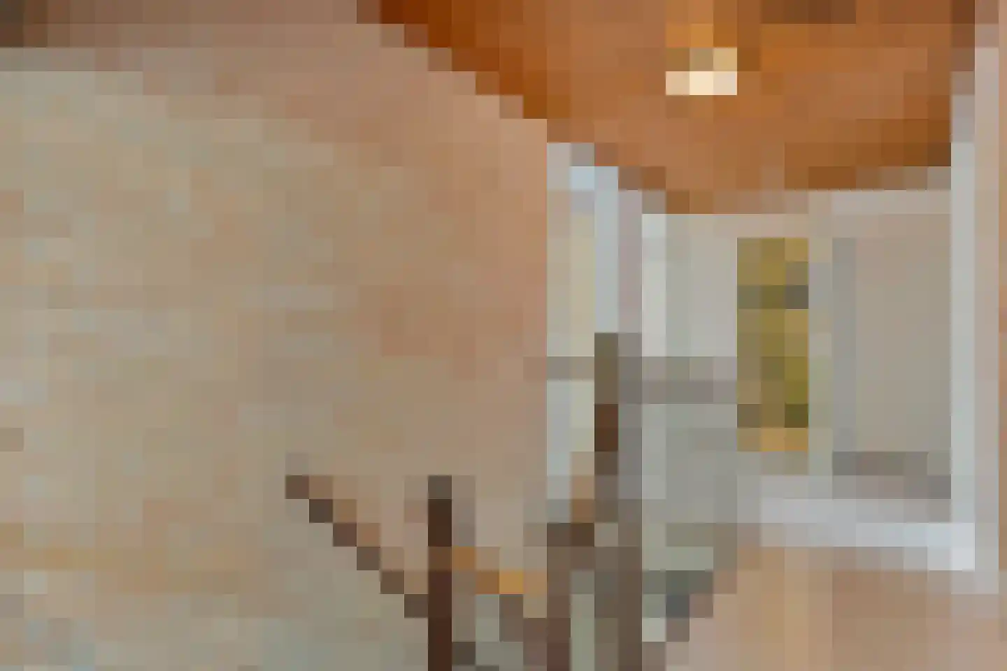 Vriesenhof 15 Dalfsen thumbnail 32