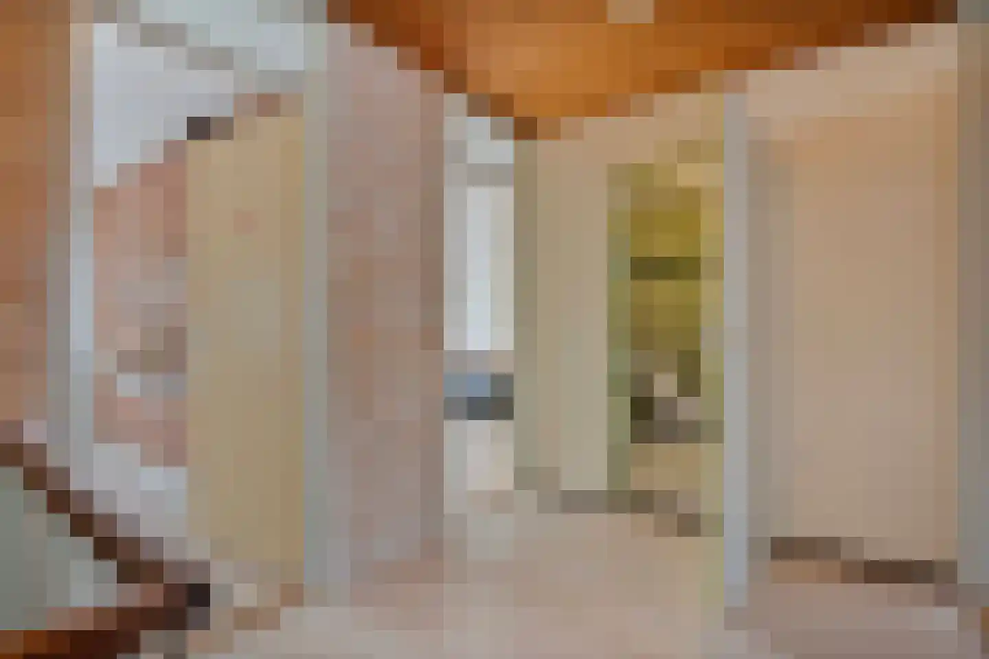 Vriesenhof 15 Dalfsen thumbnail 33